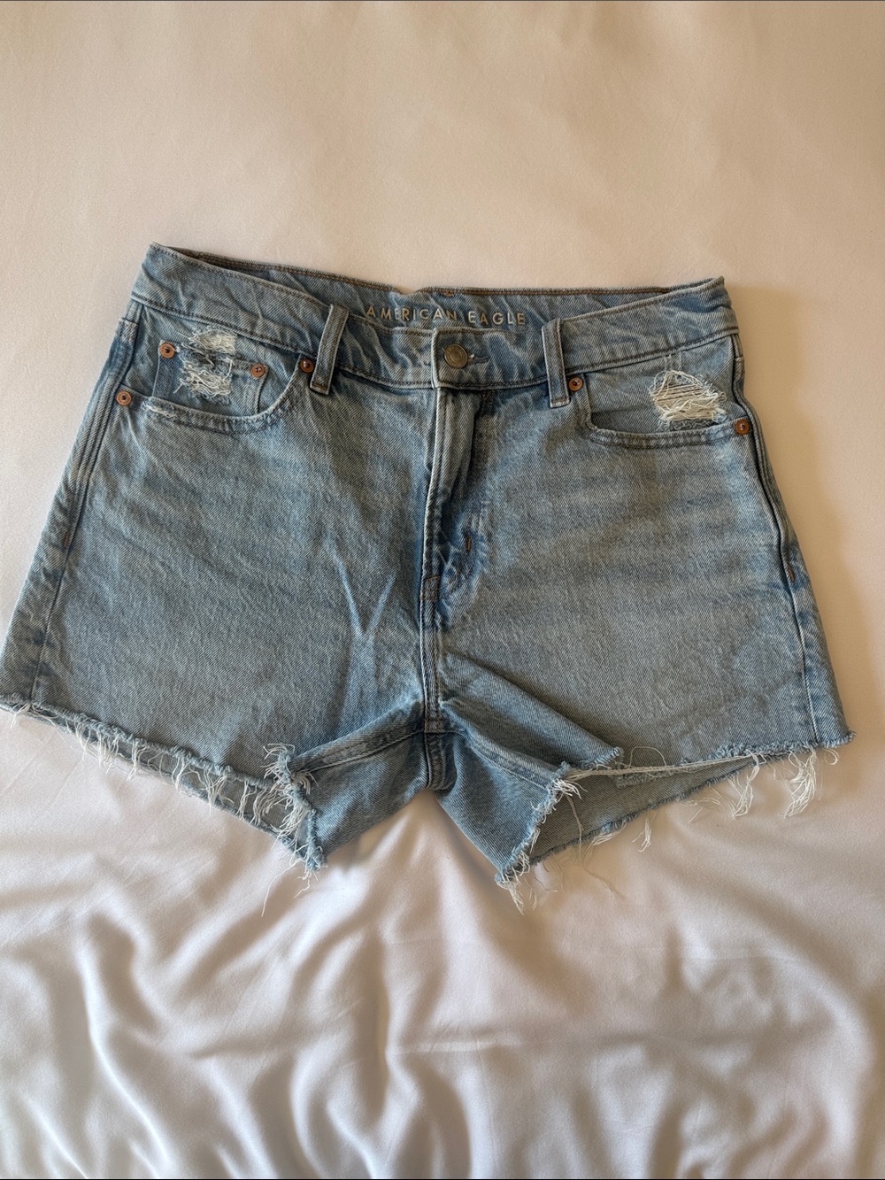 American Eagle Outfitters Light Wash Distressed Denim Shorts